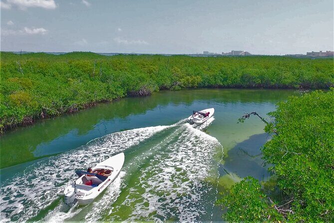 SpeedBoat Jungle Tour + Snorkel Experience in Cancun - Who Would Love This?