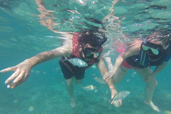 Speedboat Sailing with Snorkeling Experience in Punta Cana - Final Thoughts