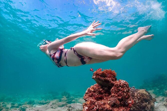 Speedboat Tour From Pattaya to Koh Larn Coral & Sak Island - Who Should Consider This Tour?