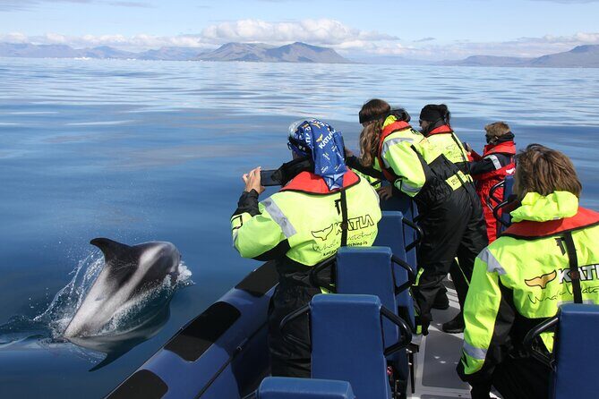 Speedboat Whale Watching Small-Group Tour in Reykjavik - The Speedboat Experience: Why It Matters