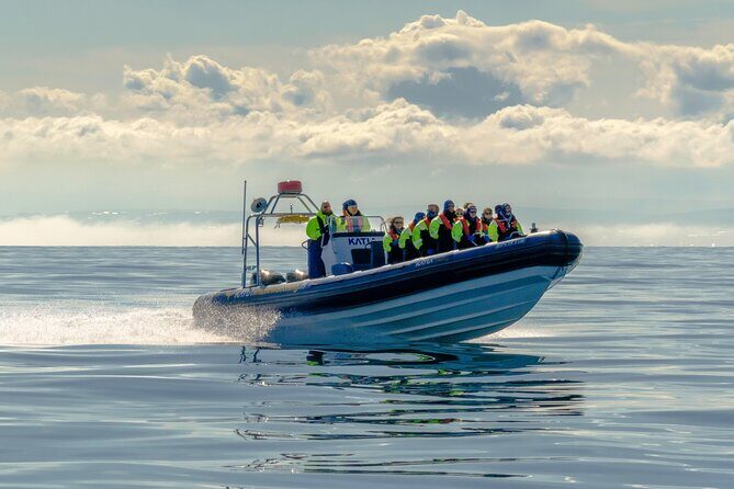Speedboat Whale Watching Small-Group Tour in Reykjavik - Weather and Flexibility