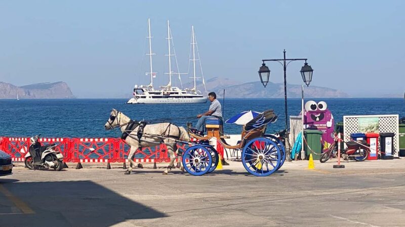 Spetses Island: Full Day Trip from Athens with Swimming - The Itinerary and Experience in Detail