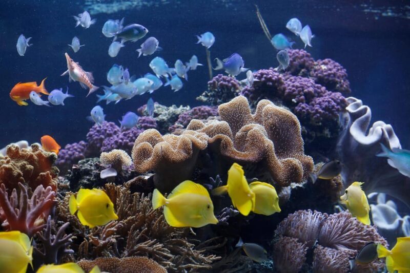 Speyer: SEA LIFE Behind the Scenes Tour - A Closer Look at the SEA LIFE Speyer Experience