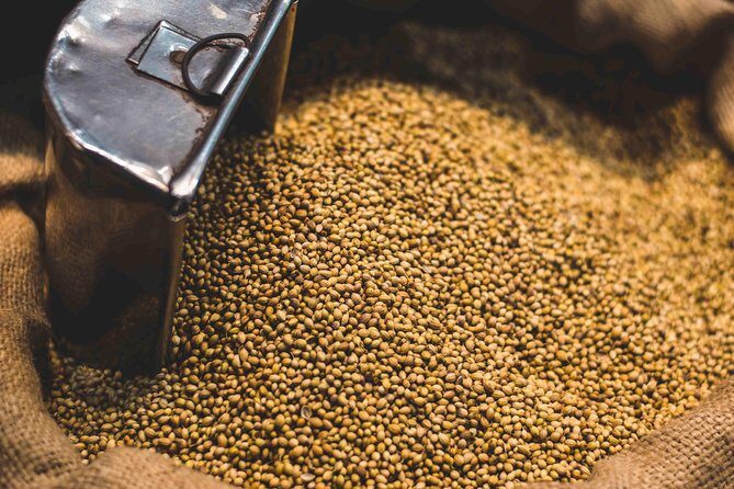 Spice Market & Old Delhi Highlights: Guided 3-Hour Tour - Why This Tour Works Well