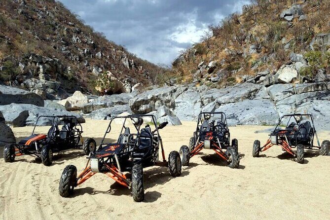 Spider Dune Buggy Adventure in Los Cabos - Detailed Breakdown of the Experience