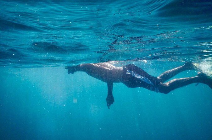 Spider Island Tour & Snorkeling and Bioluminescence from Tambor - Final Thoughts