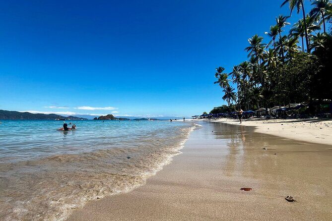 Spider Monkey & Tortuga Island Snorkeling from Tambor Costa Rica - Key Points