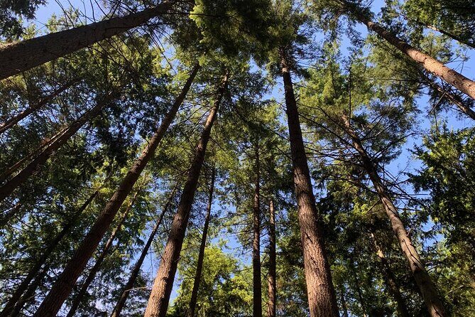 Spirit Of Vancouver Bike or Ebike Tour - Exploring Vancouver on Two Wheels: The Spirit Of Vancouver Bike or Ebike Tour