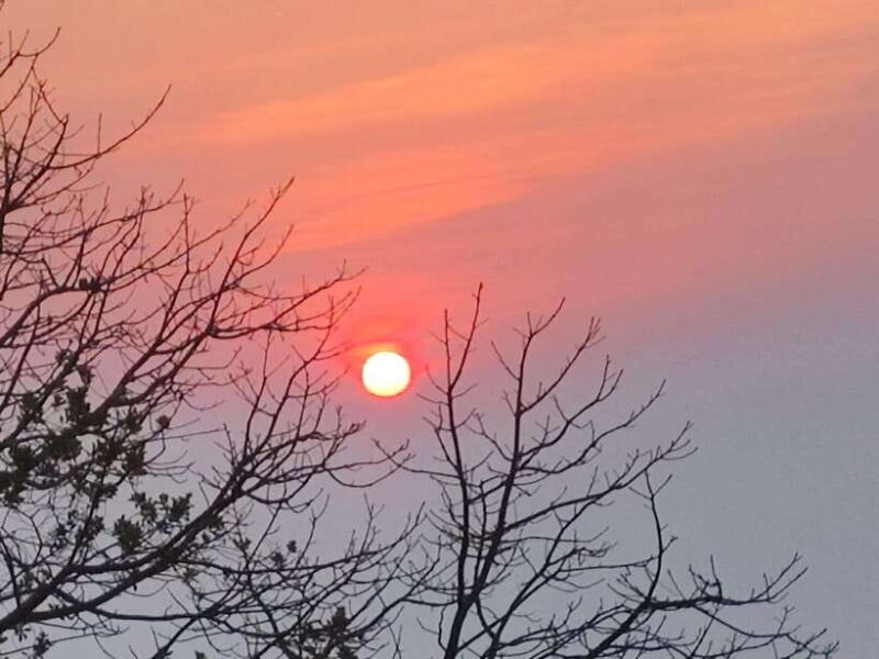 Spiritual Sunrise: Wat Doi Suthep, Pha Lat, Alms &Meditation - Key Points