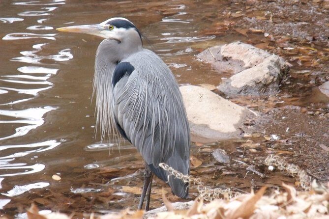 Spiritual Tours Vortex Tours - What’s Included and How It Works