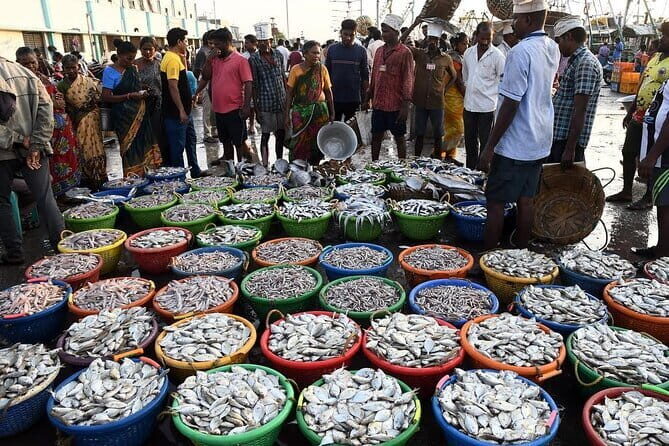 Splendid Chennai: Private Half Day Tour of Chennai - Exploring Chennai in Half a Day: A Detailed Look at the Private Tour