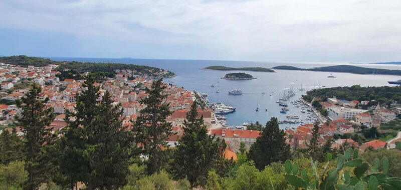 Split: Blue Cave & 5 Island Tour - The Authentic Experience: Who Will Love This Tour?