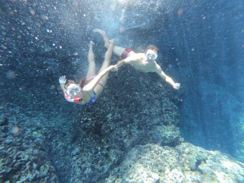 Split: Blue Lagoon, 3 Islands, and Wine Tasting Private Tour - Who Will Love This Tour?