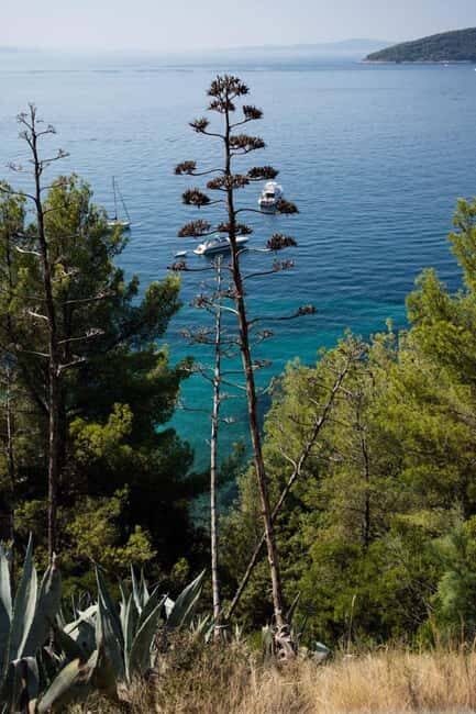 Split: City Sightseeing Panoramic Bus Tour - Final thoughts