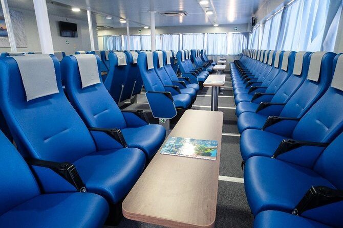 Split Cruise To Bimini & Free Transportation! - Authentic Experiences and Traveler Tips