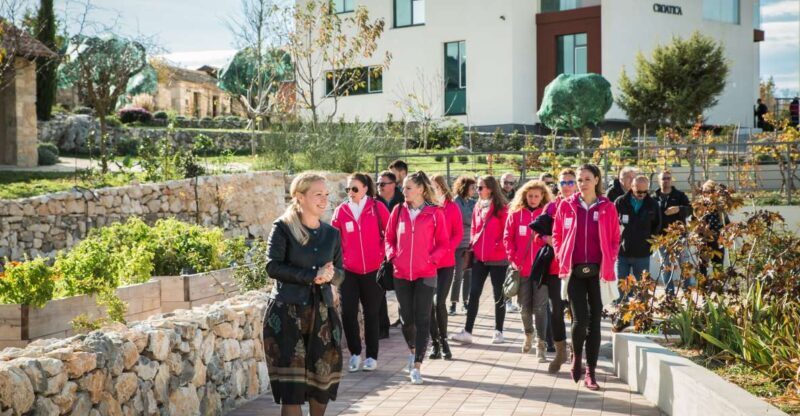 Split: Green Line with Open Bus to Klis & Olive Museum - Key Points