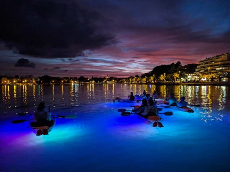 Split: Illuminated Evening Guided Kayaking Tour - Who Will Love This Experience?