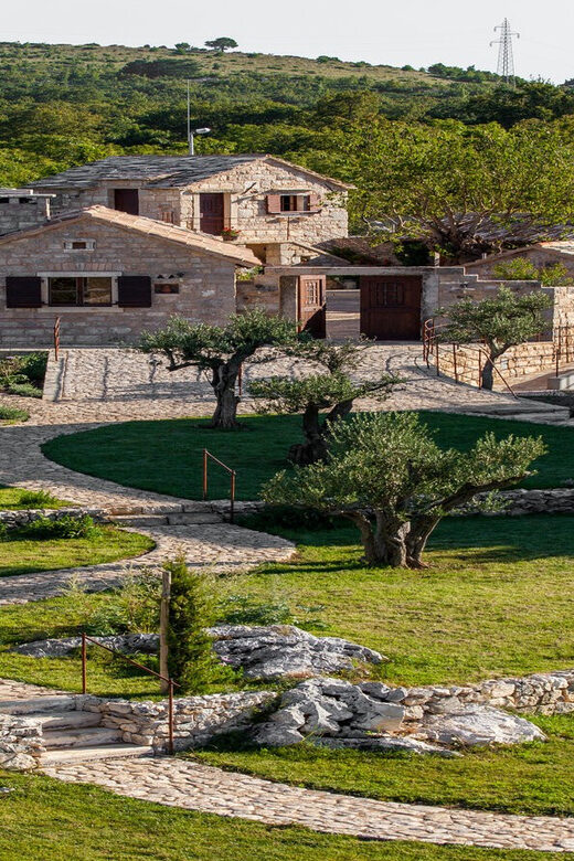 Split: Olive museum Klis with Olive Oil Tasting - What to Expect at the Olive Museum Klis Tour