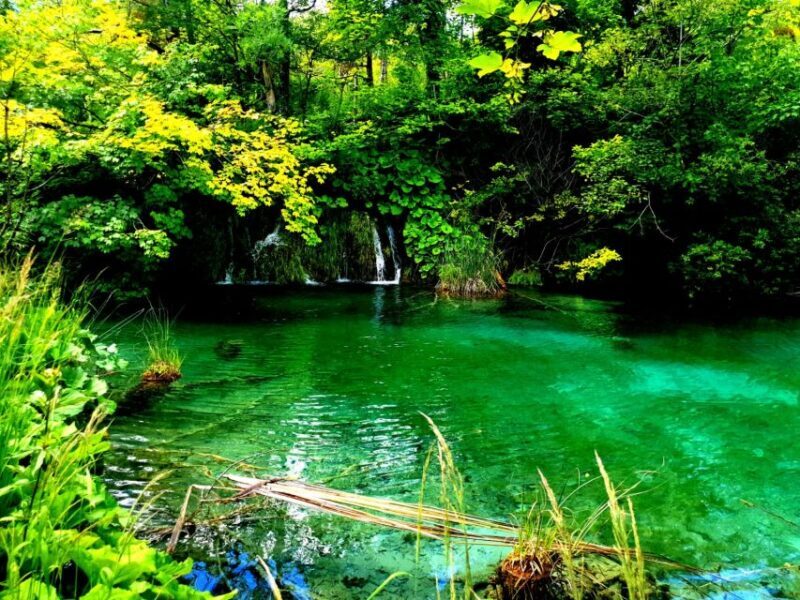 Split: Plitvice Lakes Guided Day Tour with Entry Tickets - Frequently Asked Questions