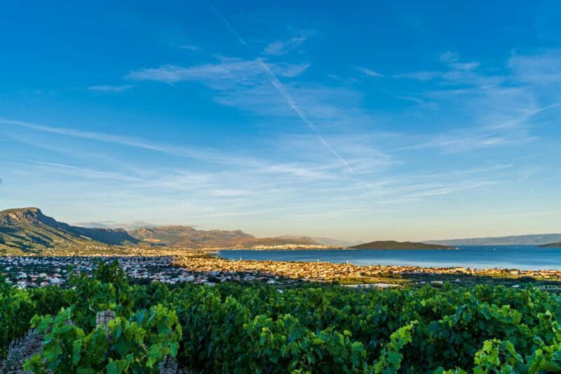 Split: Sip & Celebrate Wine-tasting Hen Party in a Vineyard - What to Expect: A Detailed Breakdown