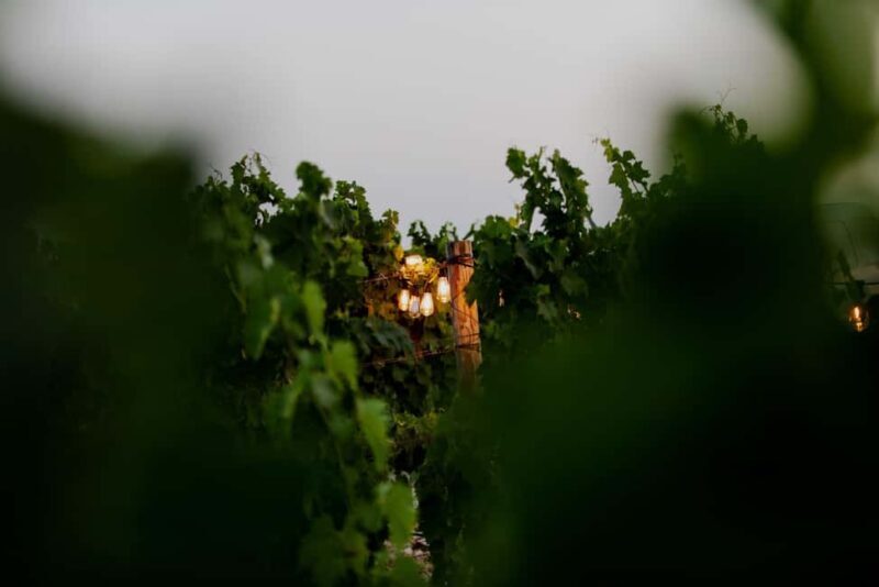 Split: Sip & Celebrate Wine-tasting Hen Party in a Vineyard - The Sum Up: A Toast to the Authentic and Scenic