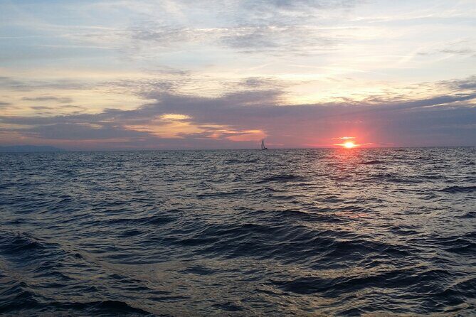 Split: Small-Group Half Day Sailing Trip - An Authentic Slice of Croatia’s Coastline