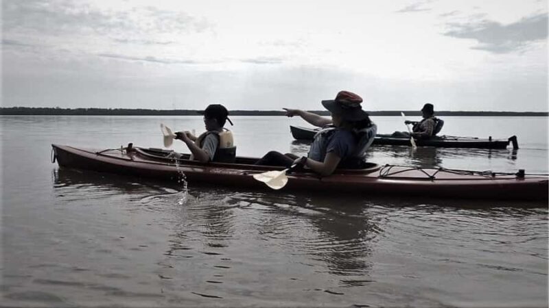 Spooky Swamp | Evening Paddle on Lake Charlotte(Sunset Tour) - Practical Details and Booking Considerations