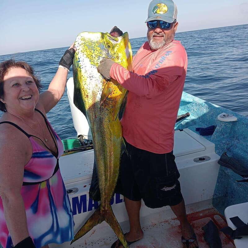Sport fishing in mazatlan - Key Points
