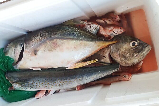 Sport Fishing Tours - FAQ