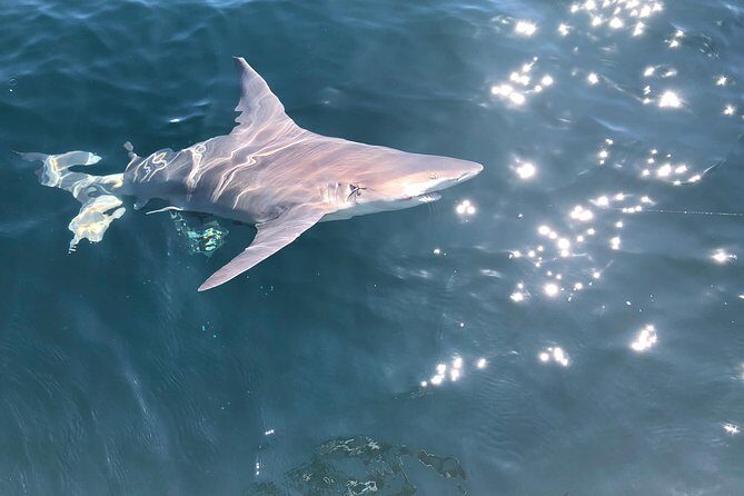 Sport Fishing with "Captain Extreme" from Ultimate Outdoors TV - Who Should Consider This Tour?