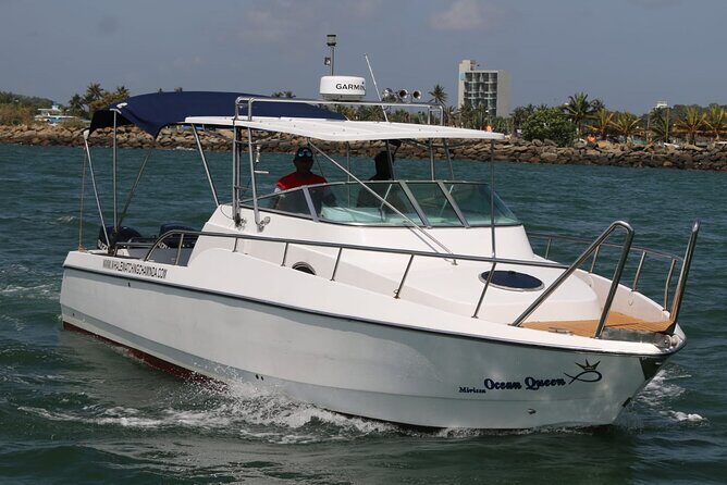 Sports Boat- Private Whale Watching Trip( free breakfast & paid pick-up) - Setting Sail for Marine Marvels: What to Expect