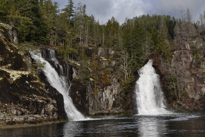 Spring Bear and Waterfall Tour - Spring Bear and Waterfall Tour: A Genuine Look at Vancouver Islands Natural Beauty