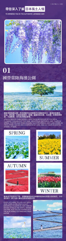 Spring Limited: Ashikaga Flower Park Night Wisteria & Hitachi Seaside Park Baby Blue Eyes & Kamisukisa Torii Archway Day Trip | Departure from Tokyo - A day built around three different views