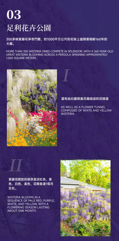 Spring Limited: Ashikaga Flower Park Night Wisteria & Hitachi Seaside Park Baby Blue Eyes & Kamisukisa Torii Archway Day Trip | Departure from Tokyo - Kamiiso-no-Torii: a short stop by the Pacific