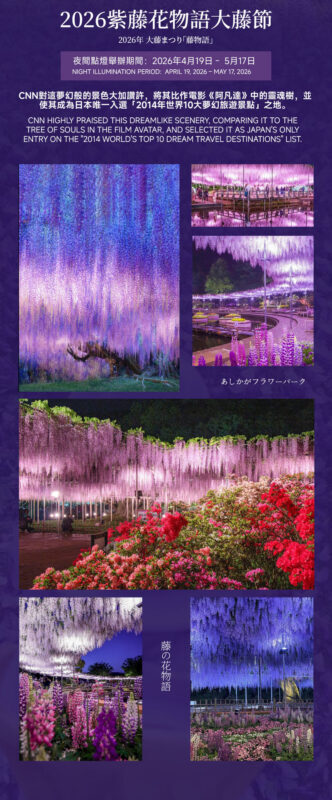 Spring Limited: Ashikaga Flower Park Night Wisteria & Hitachi Seaside Park Baby Blue Eyes & Kamisukisa Torii Archway Day Trip | Departure from Tokyo - Ashikaga Flower Park: flowers, lights and a tight finish