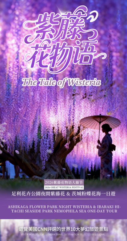 Spring Limited: Ashikaga Flower Park Night Wisteria & Hitachi Seaside Park Baby Blue Eyes & Kamisukisa Torii Archway Day Trip | Departure from Tokyo - What the bus and guide add