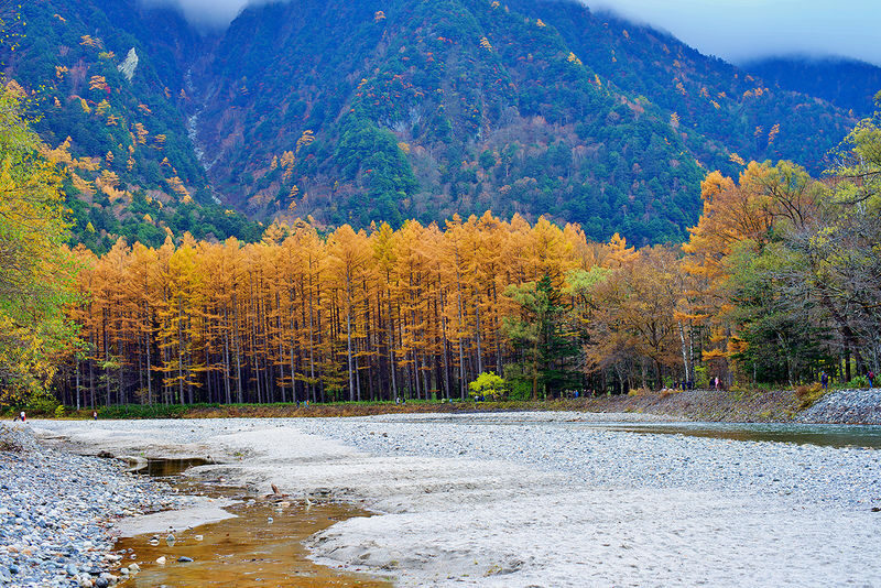 Spring, Summer, and Autumn Hiking Trip | Kamikochi x Shirakawa-go x Hida Takayama 2-Day Tour | Departure from Nagoya | Includes Resort Hotel - What the shared transport means