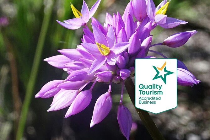 Spring Wildflower Private Day Tours - Experience the Bloom: Spring Wildflower Private Day Tours in Perth