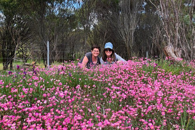 Spring Wildflower Private Day Tours - Key Points