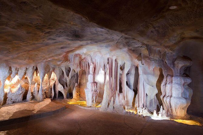Springbrook andTamborine Rainforest Tour Incl Natural Bridge and Glow Worm Cave - Who Would Love This Tour?
