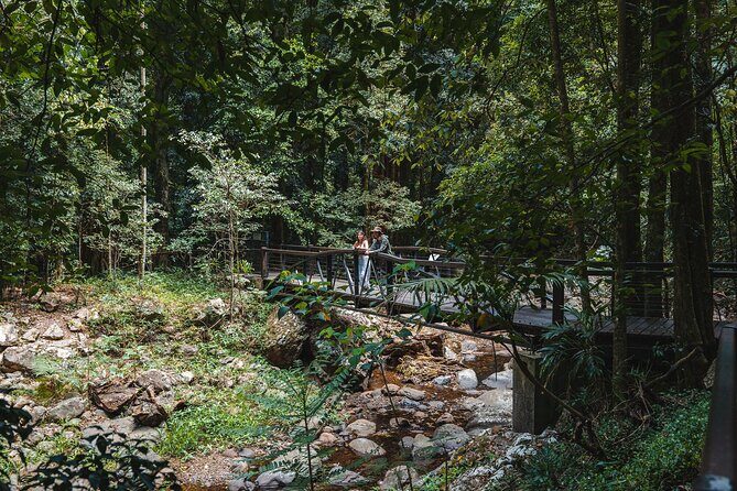 Springbrook andTamborine Rainforest Tour Incl Natural Bridge and Glow Worm Cave - Final Thoughts
