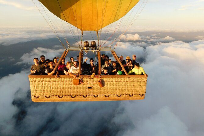 Springbrook, Natural Arch & Numinbah Valley + Hot Air Balloon with Breakfast - Discover Brisbane from Above and Below: A Detailed Look at the Springbrook, Numinbah Valley & Hot Air Balloon Tour