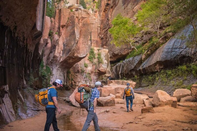 Springdale: Full-Day Zion National Park Canyoneering Tour - Exploring Zion’s Hidden Corners: A Deep Dive