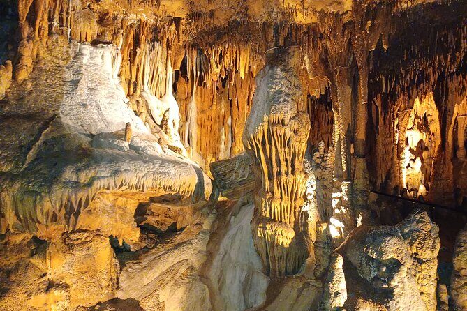 Springfield Crystal Cave Bronze Adventure Tour and Dino Trail - Key Points