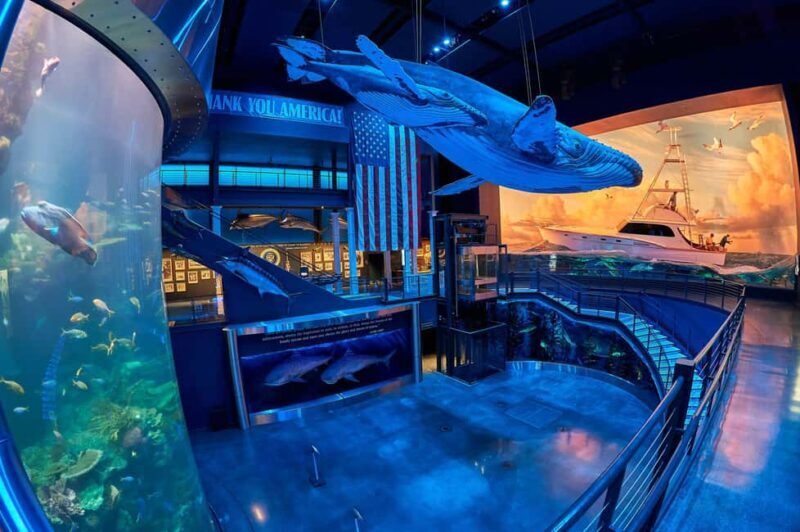 Springfield: Wonders of Wildlife National Museum & Aquarium - FAQ