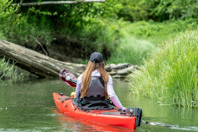 Squamish Full Day Expedition Kayak Rental - A Detailed Look at the Squamish Full Day Expedition Kayak Rental