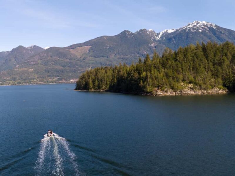 Squamish: Howe Sound Boat Tour with Wildlife Spotting - A Deep Dive into the Howe Sound Boat Tour Experience