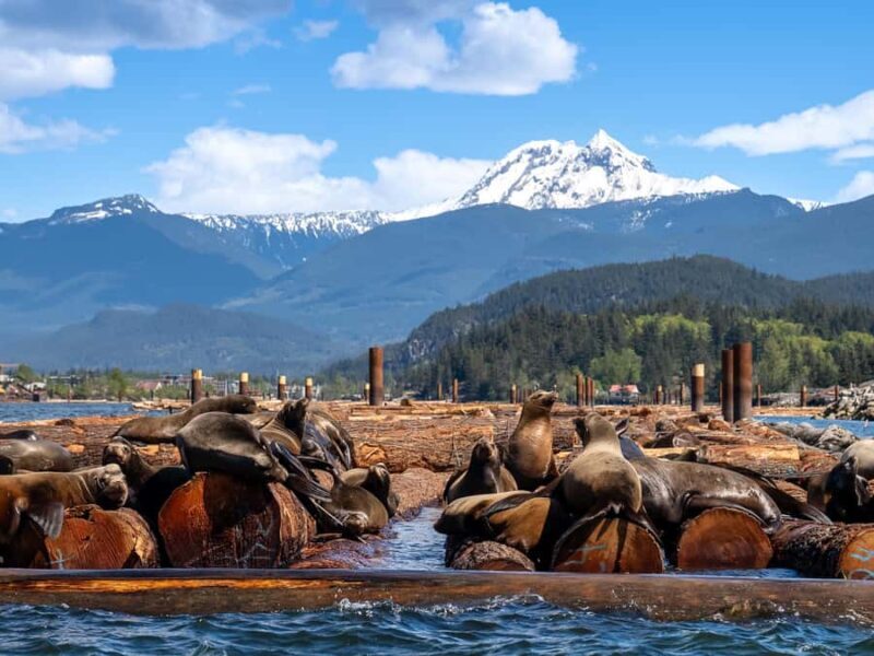 Squamish: Howe Sound Boat Tour with Wildlife Spotting - FAQ