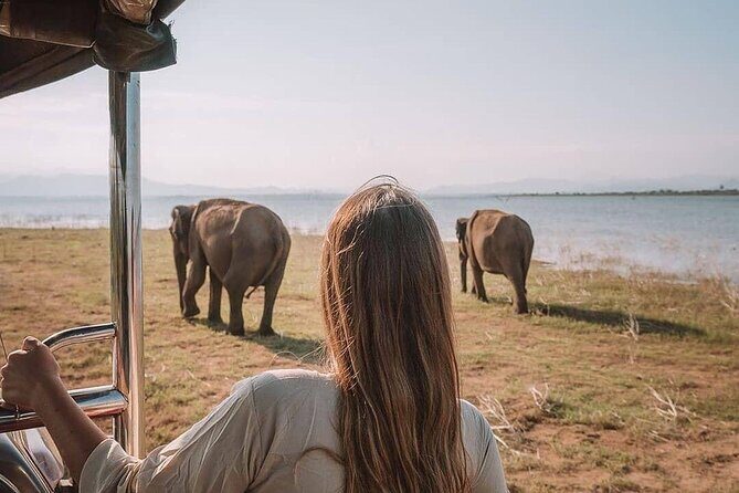 Sri Lanka 03 night 04 days budget tour package - Who Will Love This Tour?