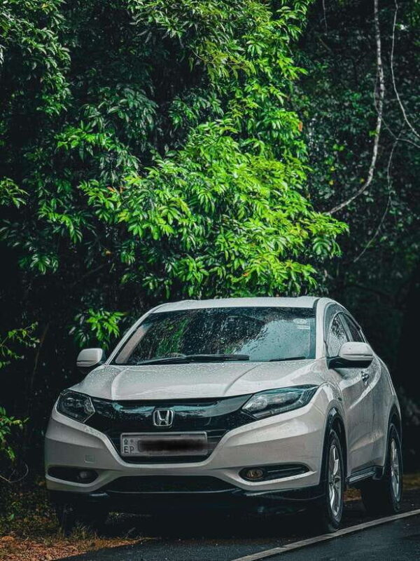 Sri Lanka: 10-Day Luxury Tour with guide - Why This Tour Offers Great Value